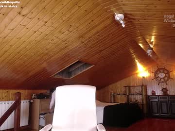 Nude girl wildtequilla image #1073219