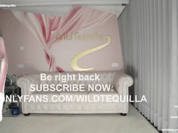 Nude girl wildtequilla image #4933113