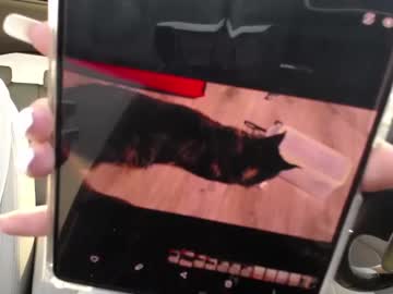 Nude girl bondgirl013 image #2097368