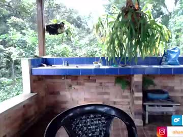 Nude girl ohanna_ image #2085156