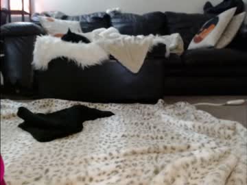 Nude girl shastathecat image #3558043