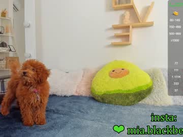 Nude girl _blaackberry image #1146151