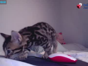 Nude girl dose_of_sex image #2121798