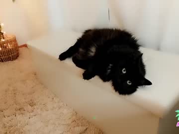 Nude girl amyvalentine image #1750997