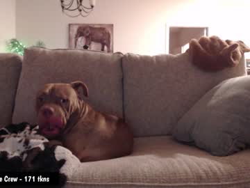 Nude girl holihurricane image #3365370