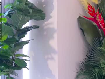 Nude girl belle_adrienne image #1727824