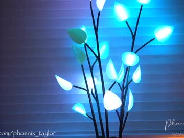 Nude girl phoenix_taylor image #1670645